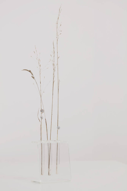 Vase with dry flowers on Vase with dry flowers on white table. Minimalist style home interior decoration. Simplicity and Calm concept. - Фото, изображение