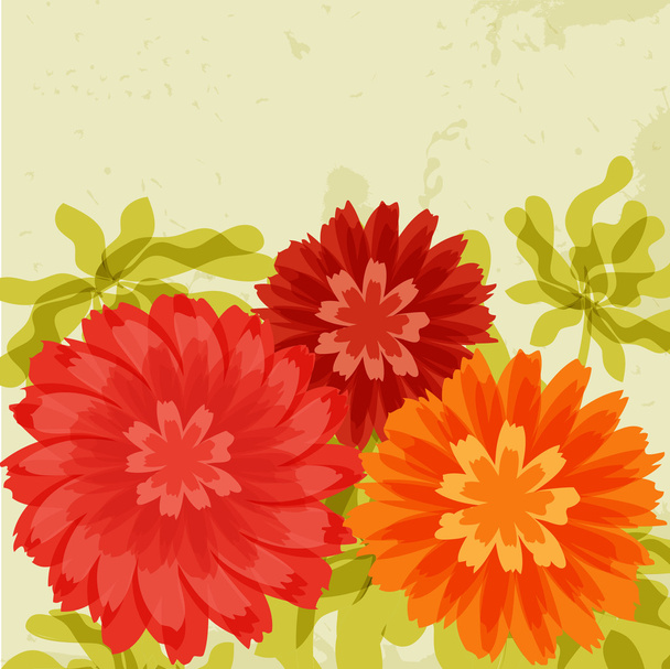 Abstract flower background - Photo, Image