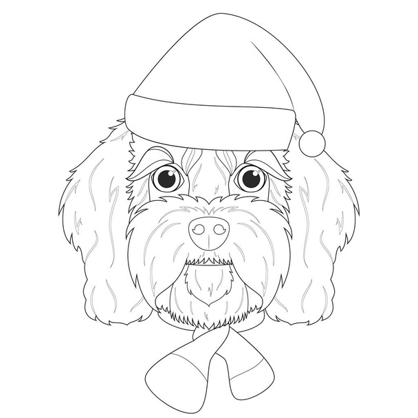 Cartão de Natal para colorir. Cão Cavoodle com chapéu de Papai Noel e um lenço de lã para o inverno - Vetor, Imagem