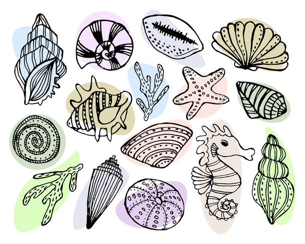 illustrazione sul tema marino, una serie di conchiglie disegnate a mano, stelle marine, cavallucci marini su sfondo bianco, per tessuti, carta - Vettoriali, immagini