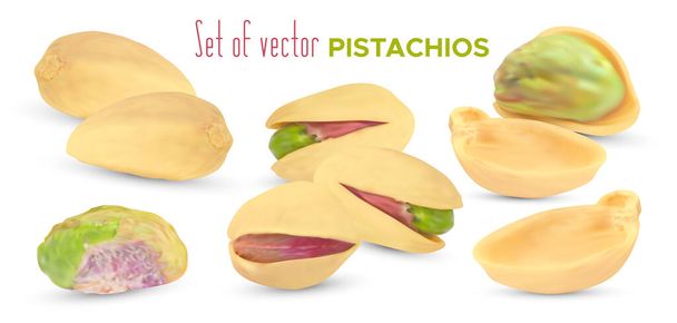 Vector realista pistachos nueces y cáscara aislado sobre fondo blanco. - Vector, imagen