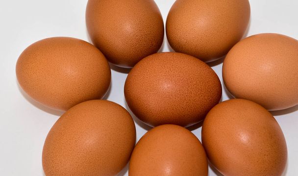 Huevos de pollo marrón sobre un fondo blanco
. - Foto, Imagen