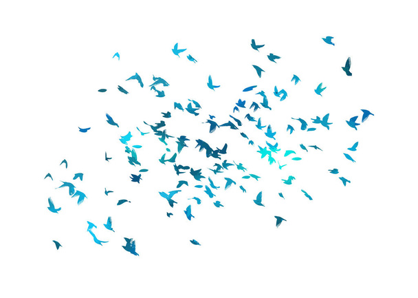 A flock of flying blue birds. Free birds. Vector illustration - Vector, Image
