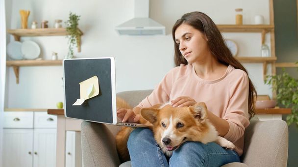 Una mujer bonita trabajando con un ordenador portátil y acariciando a un perro lindo. Mujer sintiéndose despreocupada y feliz. - Foto, Imagen
