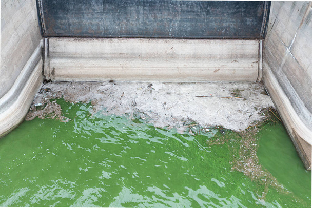 Manchas sucias en la superficie del agua del lago, contaminadas por la descarga de aguas residuales industriales. Problema ecológico. - Foto, imagen