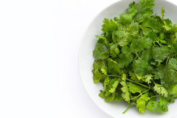 Fresh coriander leaves in white plate on white background. - Photo, Image