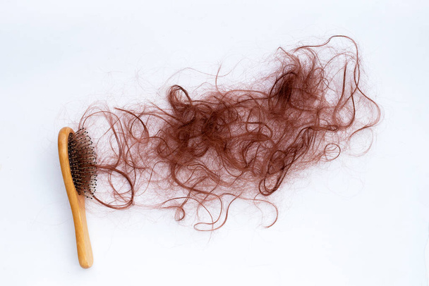 Hairs loss fall in comb - Фото, изображение