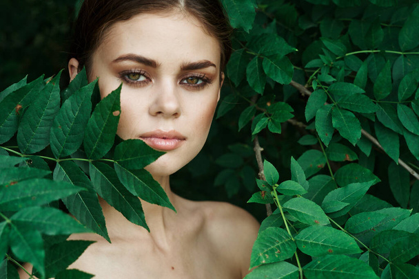 portrait of a woman Cosmetology nature green leaves glamor model - 写真・画像