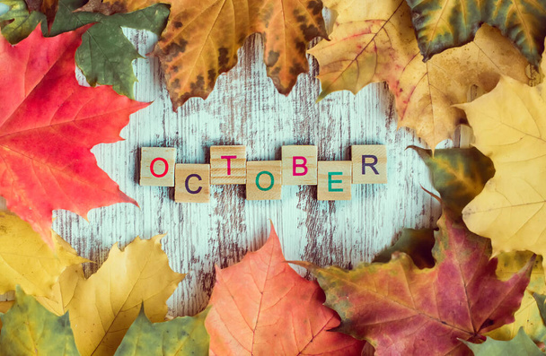 Плоскі, осінньо-кольорові кленові листя, напис "Жовтень" дерев'яними літерами на столі. Походження осені - Фото, зображення
