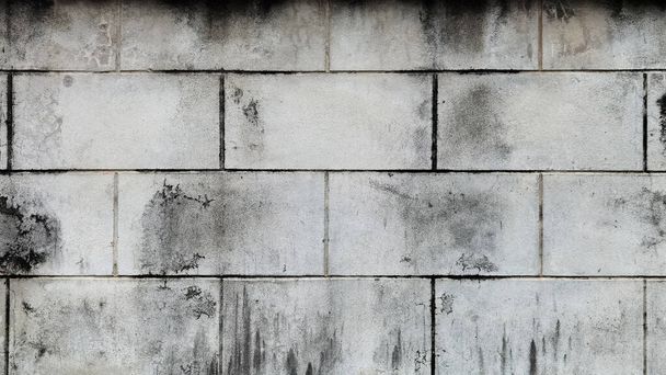 Текстура бетонної цегляної стіни для фону
 - Фото, зображення