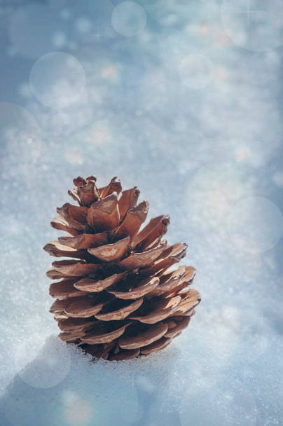 Christmas card. Pine cone and green branch on snow, copy space for text. New year winter holiday xmas. Christmas decoration. Pine cone in the snow. Winter cold. Winter Holiday Scene. New Year art design - Photo, image