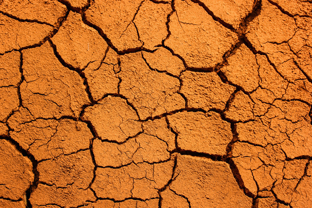 kuru toprak dokusu arkaplanı - Fotoğraf, Görsel
