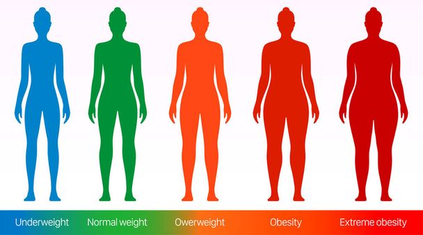 Vrouwen body mass index platte vector illustratie. - Vector, afbeelding