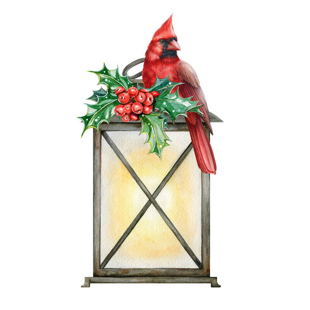 Zimní lampa vánoční aranžmá. Ilustrace akvarelů. Ručně kreslené slavnostní květinové aranžmá na vinobraní lucerny pozadí. Zimní vinobraní dekor řemeslný prvek s cesmínou a červeným kardinálem - Fotografie, Obrázek
