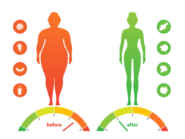 Woman with a obesity. Excess weight problem, fat, health care, unhealthy lifestyle concept design. - Vector, Image