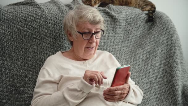 Mujer mayor habla por teléfono con el gato durmiendo en la espalda - Imágenes, Vídeo