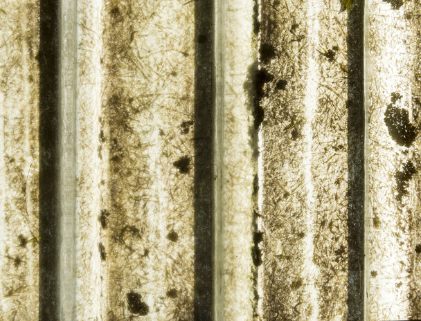 Telhado de mofo
 - Foto, Imagem
