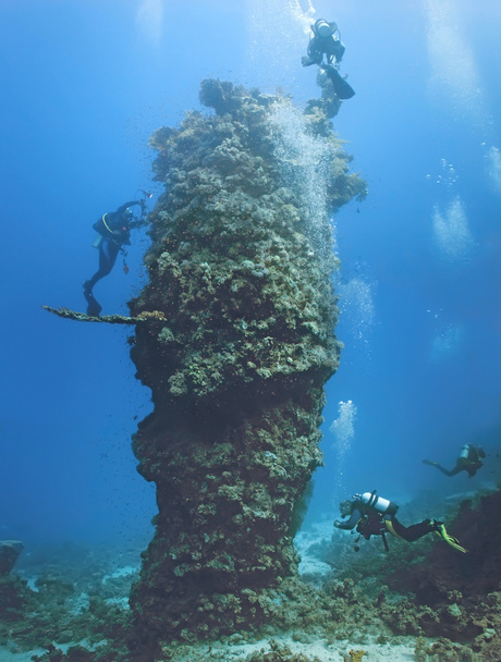 duikers op de koraal rif - Foto, afbeelding