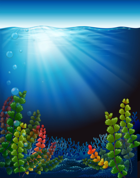 Plants under the sea - Vector, Image