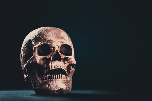 Spooky skull for Halloween. Horror wallpaper. - Φωτογραφία, εικόνα