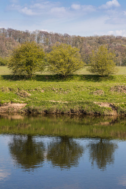 Три дерева отражаются в реке Риббл около Престона весной 2021 года.. - Фото, изображение