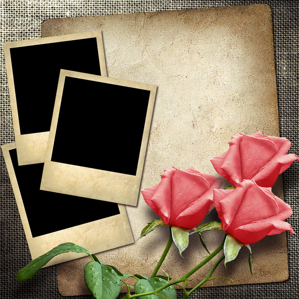 赤いバラとリネンの背景上の写真をポラロイド風 - 写真・画像