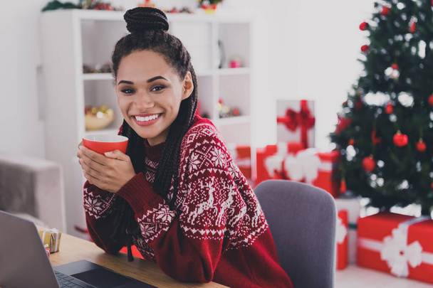 Portrait of attractive cheerful girl using laptop drinking latte enjoying rest cinema staying at decorated home indoors - Φωτογραφία, εικόνα