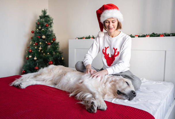 Nuori nainen leikkii koiransa kanssa joulukuusen lähellä. Tyttö joulupuserossa istuu kultaisen noutajan kanssa joulupukin hatussa. Viihtyisyys ja ilo kotona jouluaattona. - Valokuva, kuva
