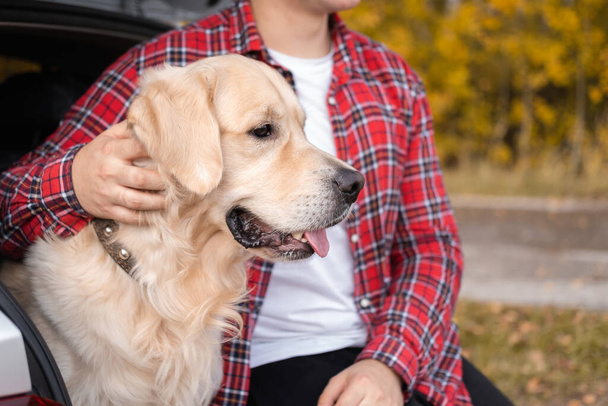 Un hombre se sienta con su perro en el maletero de un coche en el bosque de otoño. Viajando con una mascota. Un viaje a la naturaleza del golden retriever y su dueño. - Foto, Imagen