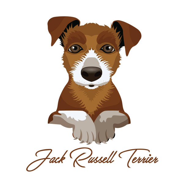 Jack Russel Terrier - Vektor, Bild