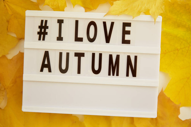 Текстовый хэштег я люблю осень. Эстетический осенне-желтый цвет листьев заднего плана. Вид сверху. Модный осенний фон. Высокое качество фото - Фото, изображение