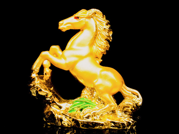 Golden horse
 - Фото, зображення