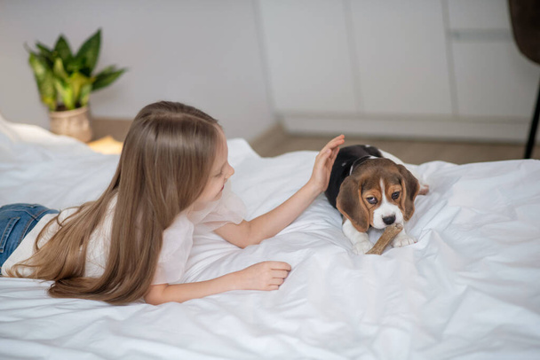 A long-haired girl playing with her puppy on the bed - Φωτογραφία, εικόνα
