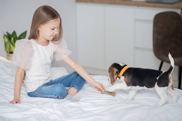 A long-haired girl playing with her puppy on the bed - Foto, afbeelding