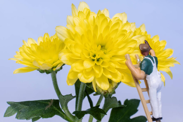 closeup of miniature people working on a yellow flower - Foto, Imagem
