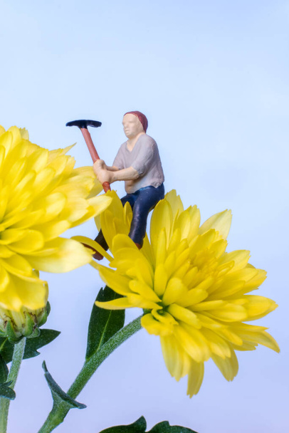closeup of miniature people working on a yellow flower - Foto, imagen