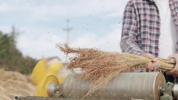 Farmer faisant le balai traditionnel de paille avec le sorgho, balai naturel - Séquence, vidéo