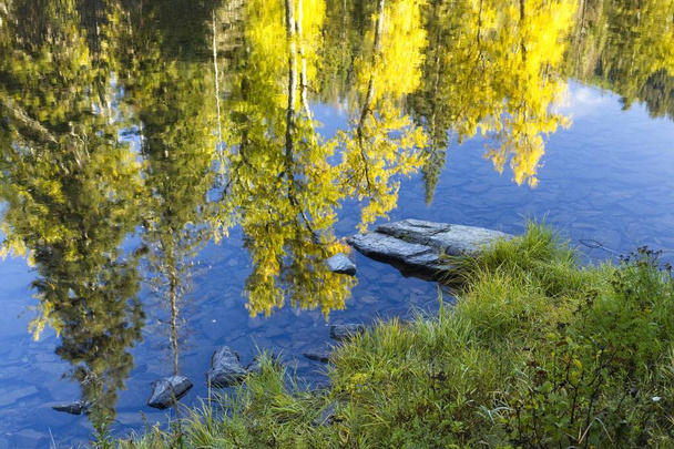 Espejo como reflejos de árboles con hojas amarillas de las tranquilas aguas del río Coeur d 'Alene en el norte de Idaho. - Foto, imagen