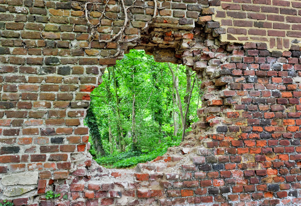 Abandoned brick wall with a hole - Photo, Image