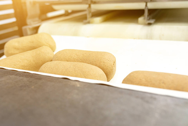 L'impasto del pane è pronto per essere messo in un contenitore di cottura. Primo piano del rullo di pasta industriale - Foto, immagini