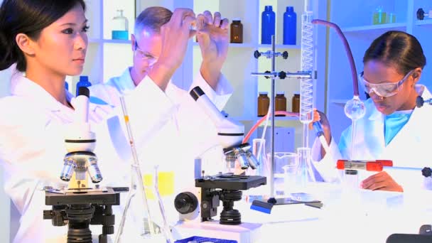 Medical Technicians using Laboratory Equipment - Footage, Video