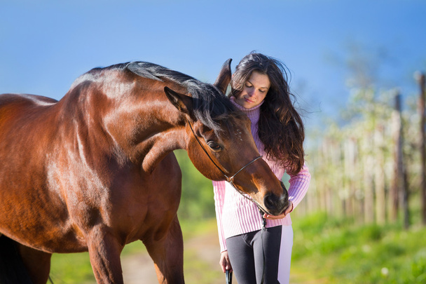 fiatal gyönyörű lány állt a ló mezőben - Fotó, kép