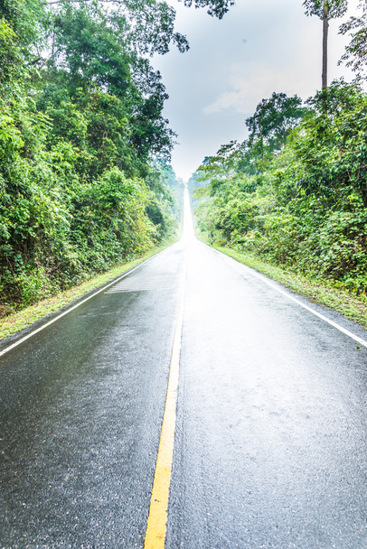 влажная дорога в Таиланде
 - Фото, изображение