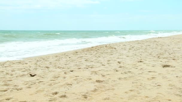 θάλασσα κοντά σε αμμώδη παραλία - Πλάνα, βίντεο