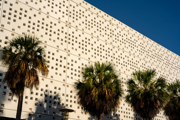 Miami Beach Architektur und Palmen - Foto, Bild