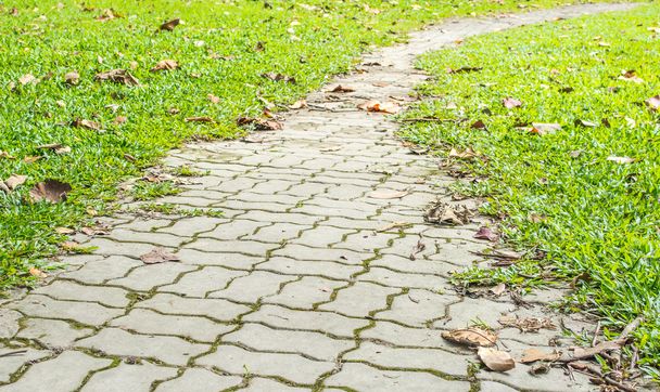 бетонний шлях, оточений дрібними травами
 - Фото, зображення