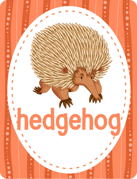 Vocabulario flashcard con palabra Hedgehog illustration - Vector, Imagen