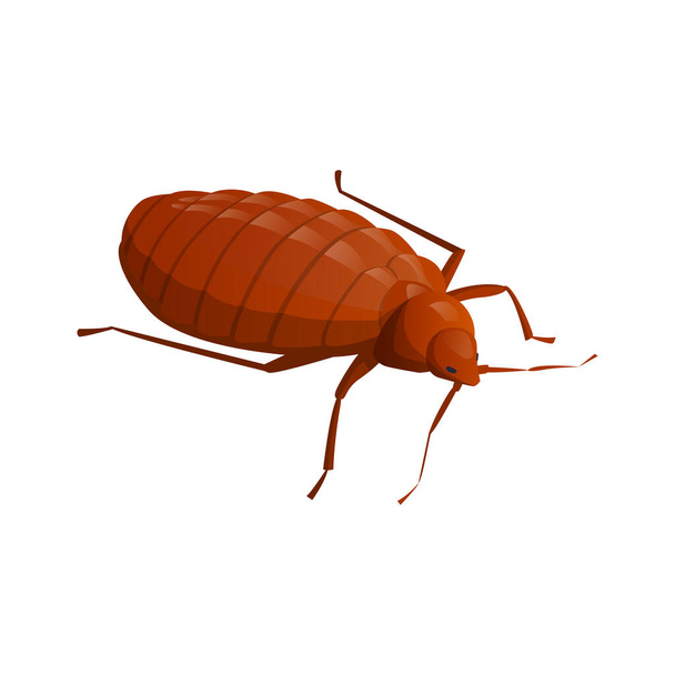 Cockroach Isometric Icon - Vector, Image