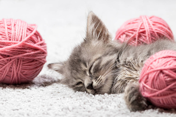 Un petit chaton gris moelleux dort avec des boules de fil rose. - Photo, image