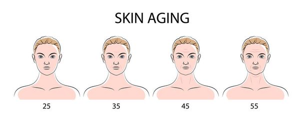 Affiche sur le vieillissement de la peau - Vecteur, image